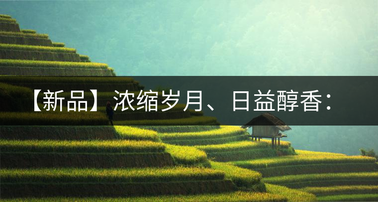 【新品】濃縮歲月、日益醇香：陳臻號陳品熟餅即將上市！