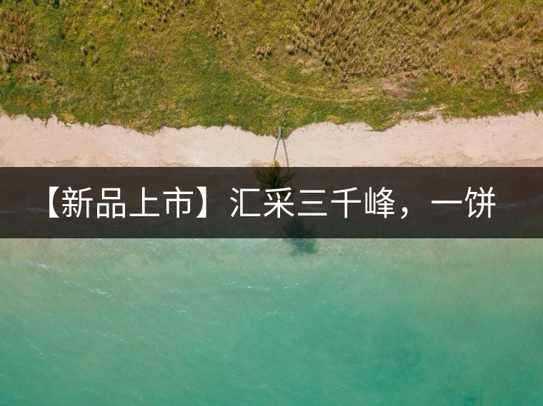 【新品上市】匯采三千峰，一餅群山鑄——群峰之峻！