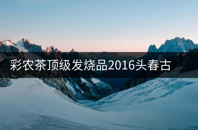 彩農(nóng)茶頂級(jí)發(fā)燒品2016頭春古樹(shù)純料青餅——云南巖茶·巖魂