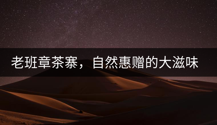 老班章茶寨，自然惠贈的大滋味，大滿足