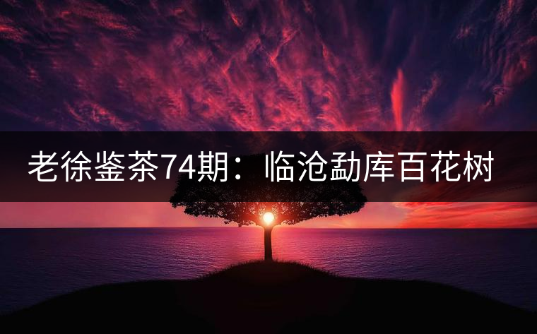 老徐鑒茶74期：臨滄勐庫百花樹混采古樹茶品鑒報告（北京茶友寄）