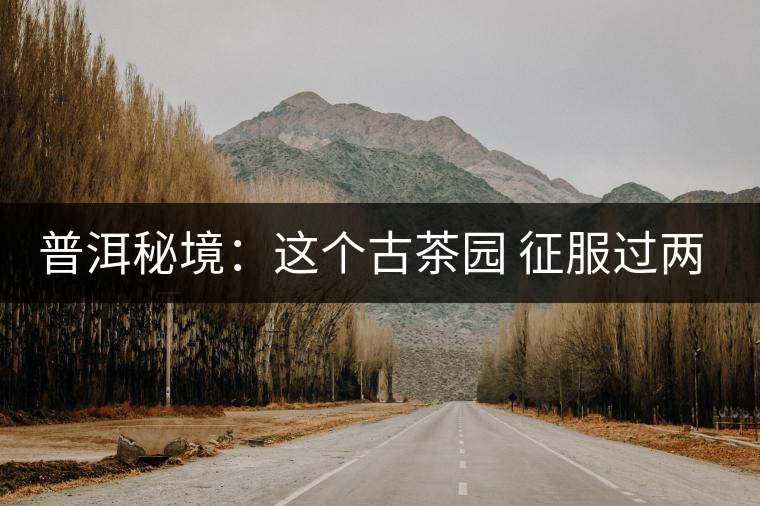 普洱秘境:這個(gè)古茶園 征服過(guò)兩任皇帝 普洱秘境:這個(gè)古茶園 征服過(guò)兩任皇帝