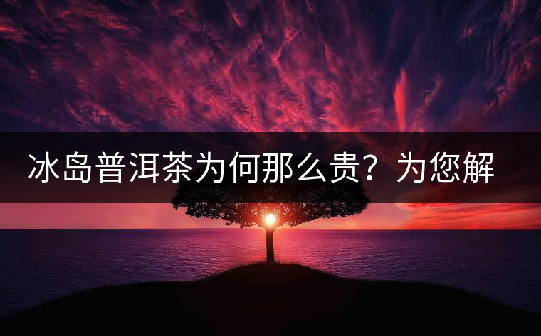 冰島普洱茶為何那么貴？為您解析其中的原由