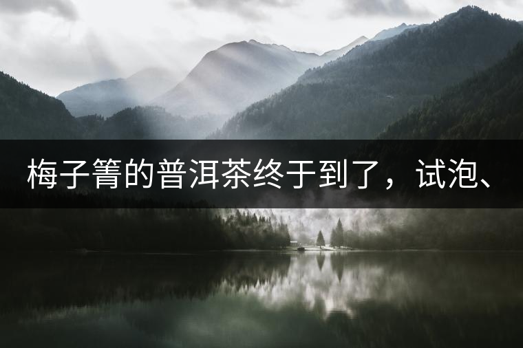 梅子箐的普洱茶終于到了，試泡、、、