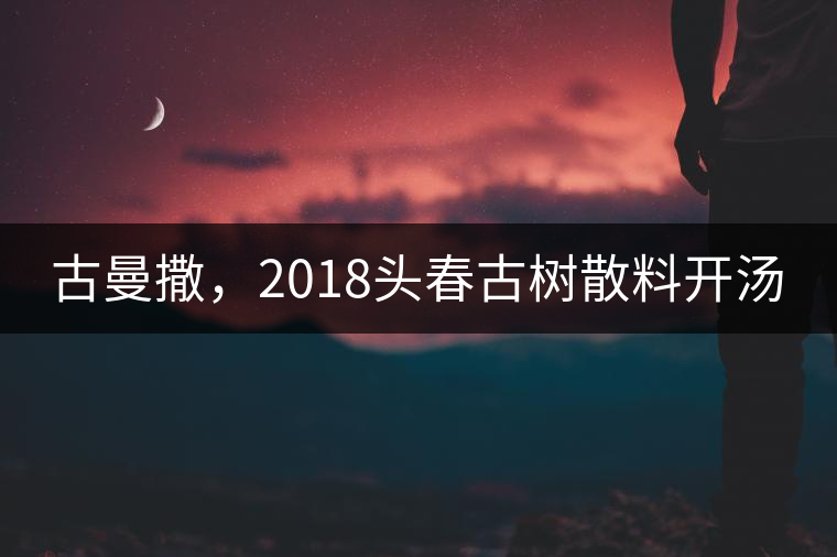 古曼撒，2018頭春古樹(shù)散料開(kāi)湯