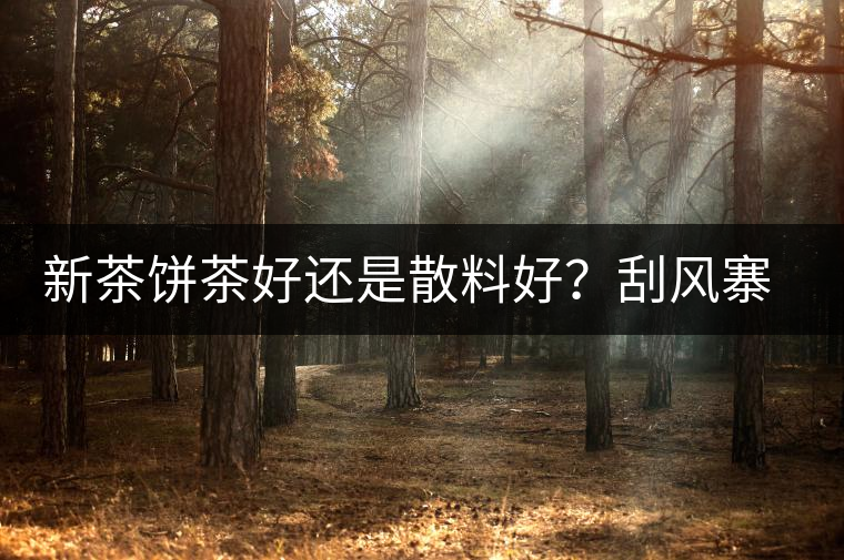 新茶餅茶好還是散料好？刮風(fēng)寨開(kāi)湯評(píng)測(cè)