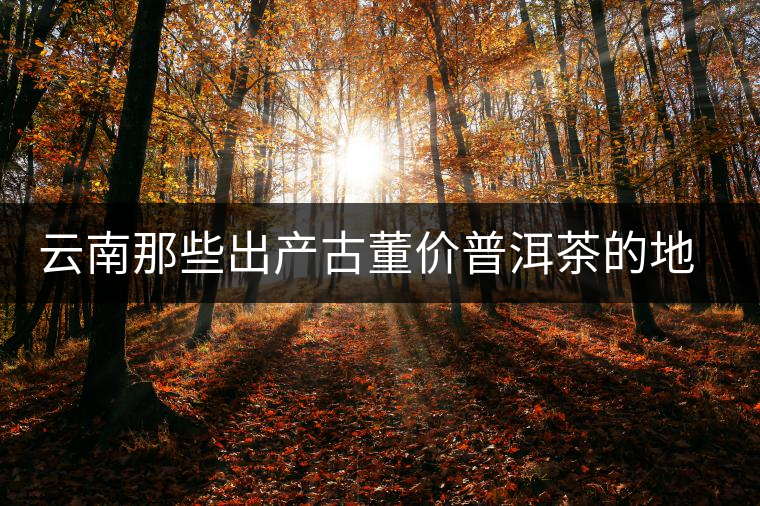 云南那些出產(chǎn)古董價(jià)普洱茶的地方，風(fēng)景如畫(huà)！