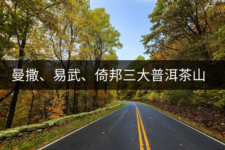 曼撒、易武、倚邦三大普洱茶山的品質(zhì)特點(diǎn)