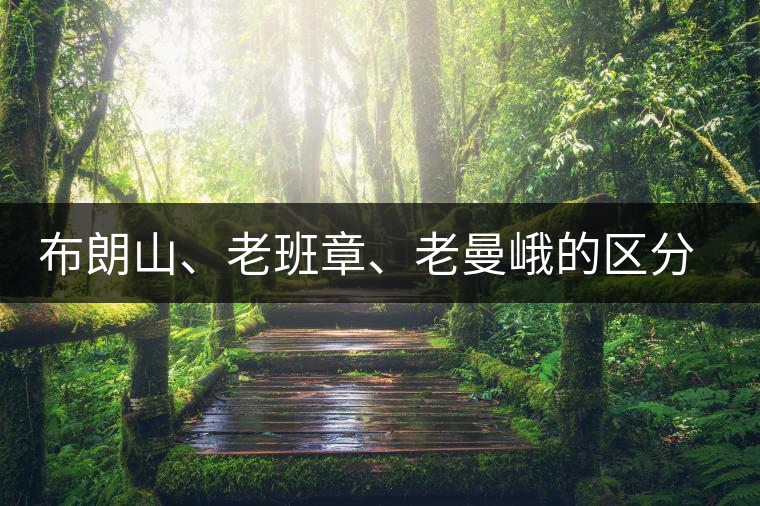 布朗山、老班章、老曼峨的區(qū)分和鑒別