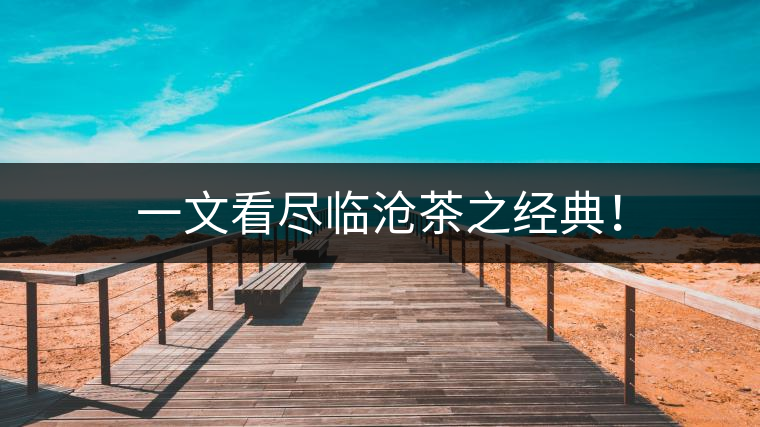 一文看盡臨滄茶之經(jīng)典！
