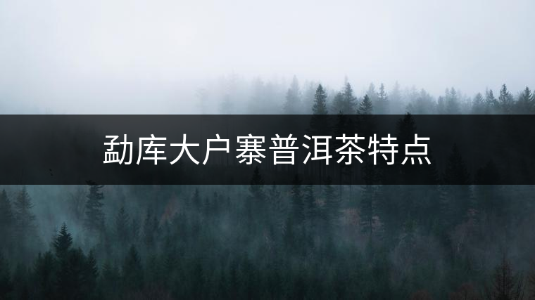 勐庫(kù)大戶(hù)寨普洱茶特點(diǎn)