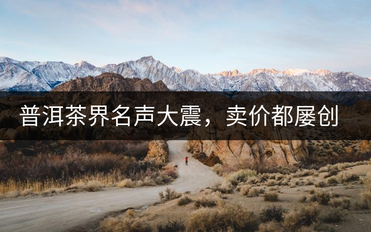 普洱茶界名聲大震，賣價(jià)都屢創(chuàng)新高竟然是它