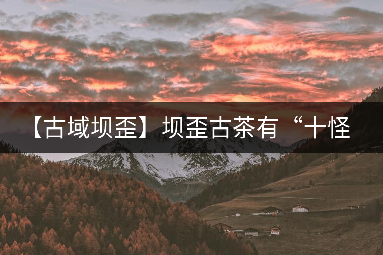 【古域壩歪】壩歪古茶有“十怪”