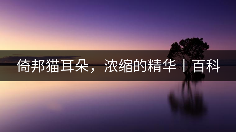 倚邦貓耳朵，濃縮的精華丨百科