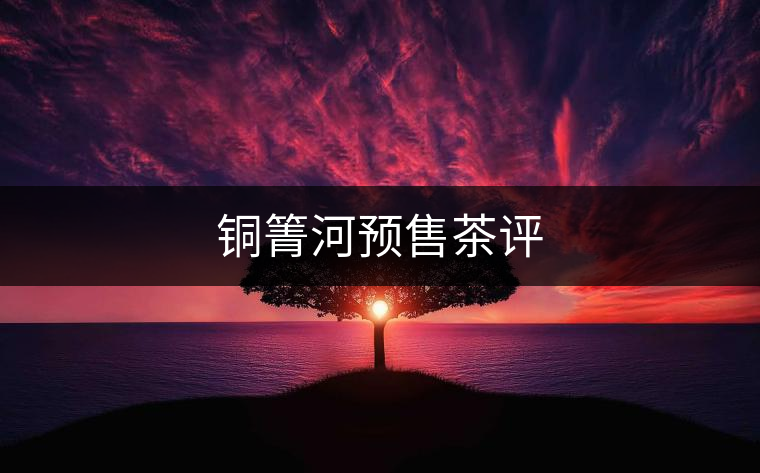 銅箐河預售茶評