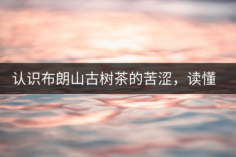 認(rèn)識(shí)布朗山古樹茶的苦澀，讀懂勐海普洱茶