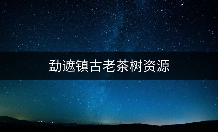 勐遮鎮(zhèn)古老茶樹資源 勐遮鎮(zhèn)古老茶樹資源