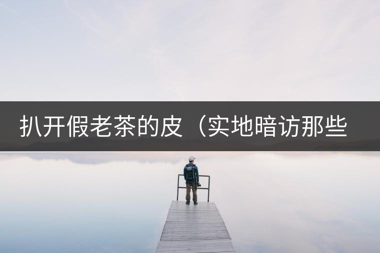 扒開假老茶的皮（實地暗訪那些千奇百怪的假老茶）