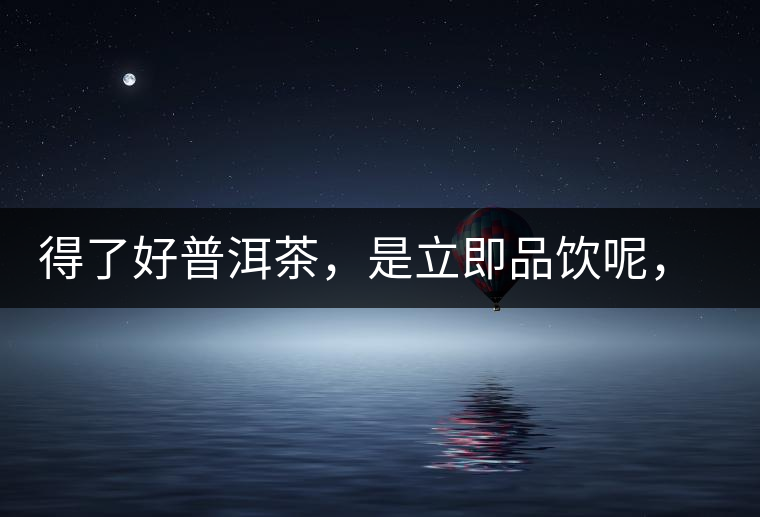 得了好普洱茶，是立即品飲呢，還是收藏？