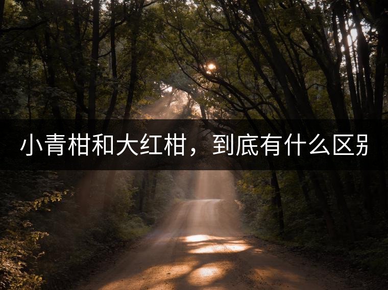 小青柑和大紅柑，到底有什么區(qū)別？