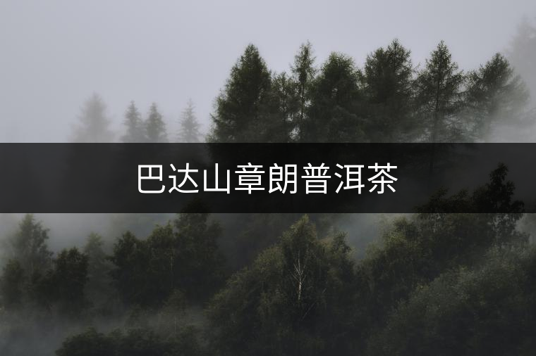 巴達(dá)山章朗普洱茶 巴達(dá)山章朗普洱茶