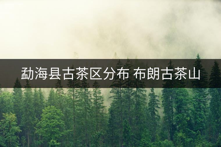 勐?？h古茶區(qū)分布 布朗古茶山