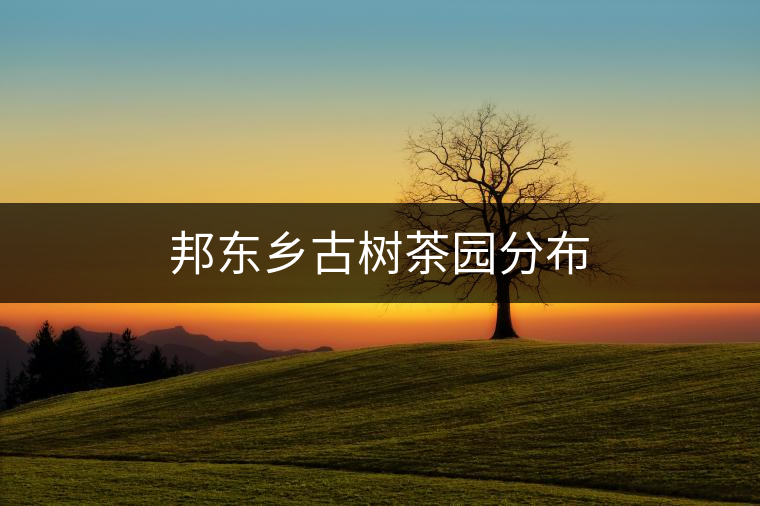 邦東鄉(xiāng)古樹茶園分布