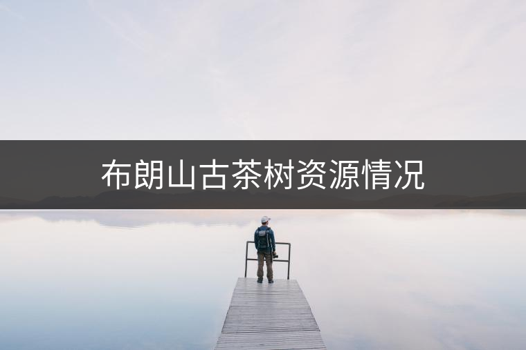 布朗山古茶樹(shù)資源情況