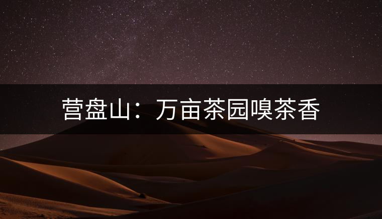 營(yíng)盤(pán)山:萬(wàn)畝茶園嗅茶香 營(yíng)盤(pán)山:萬(wàn)畝茶園嗅茶香