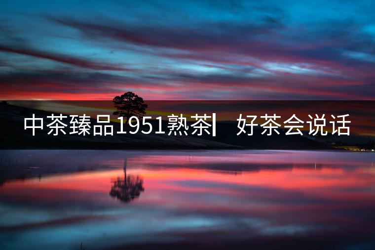 中茶臻品1951熟茶▏好茶會(huì)說(shuō)話 中茶臻品1951熟茶▏好茶會(huì)說(shuō)話