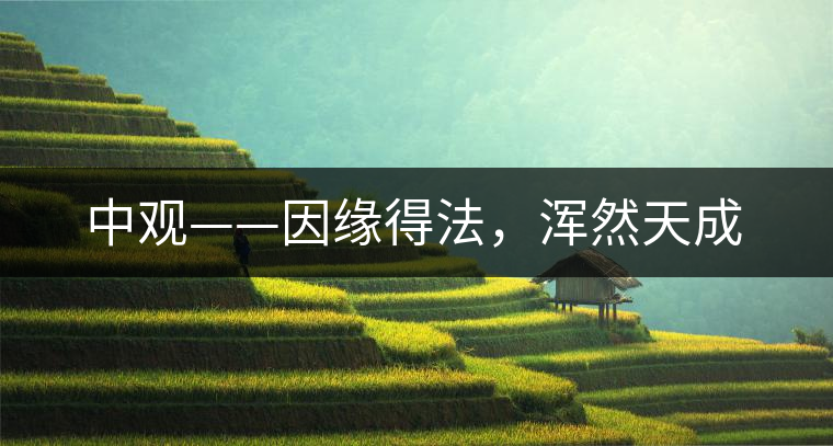 中觀——因緣得法，渾然天成