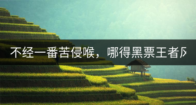 不經(jīng)一番苦侵喉，哪得黑票王者風(fēng)！