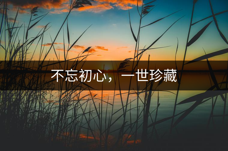 不忘初心，一世珍藏