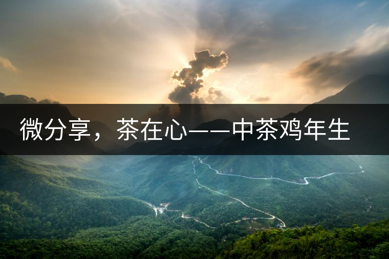 微分享，茶在心——中茶雞年生肖餅