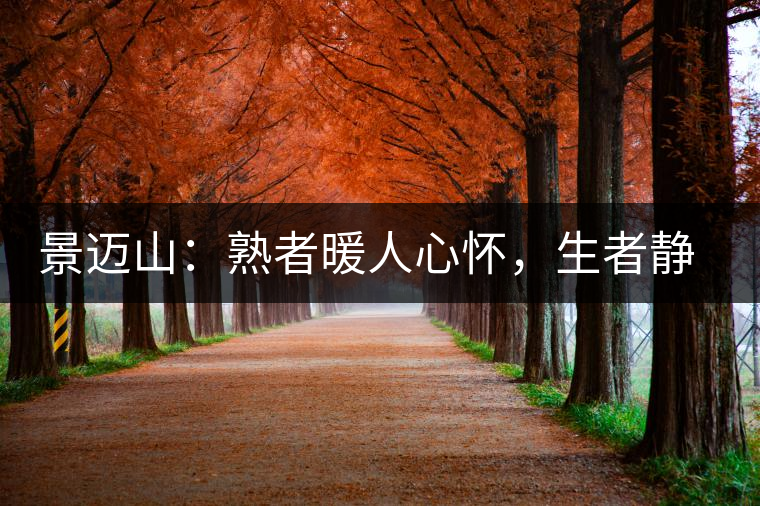 景邁山：熟者暖人心懷，生者靜品歲月