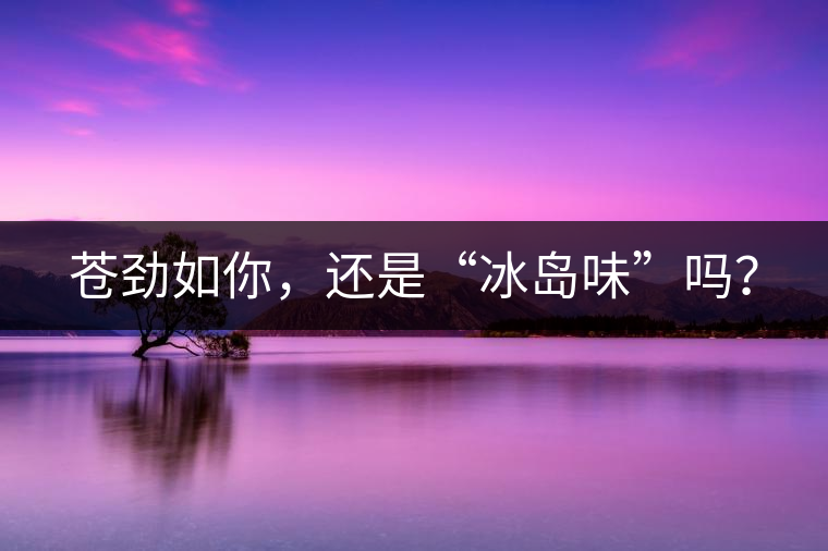 蒼勁如你，還是“冰島味”嗎？
