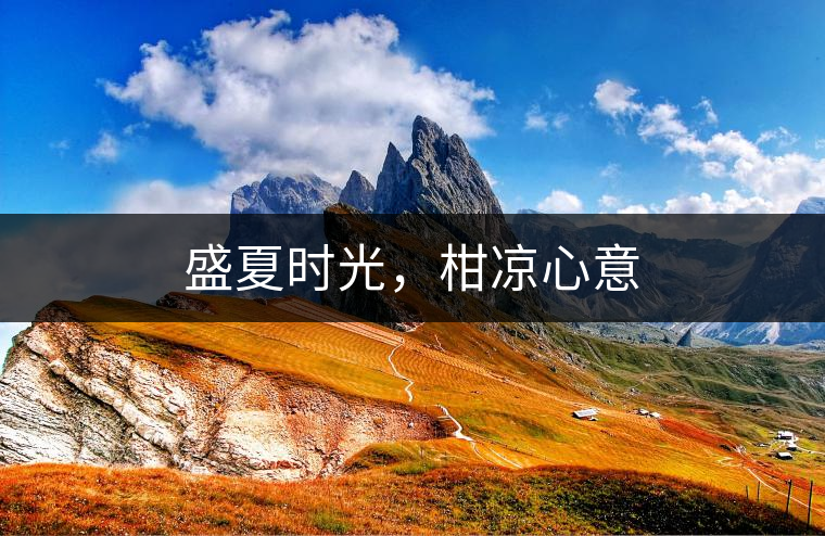 盛夏時光，柑涼心意