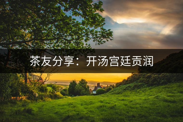 茶友分享：開湯宮廷貢潤