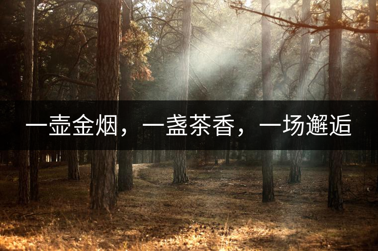 一壺金煙，一盞茶香，一場(chǎng)邂逅