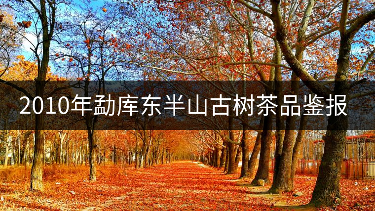 2010年勐庫東半山古樹茶品鑒報告