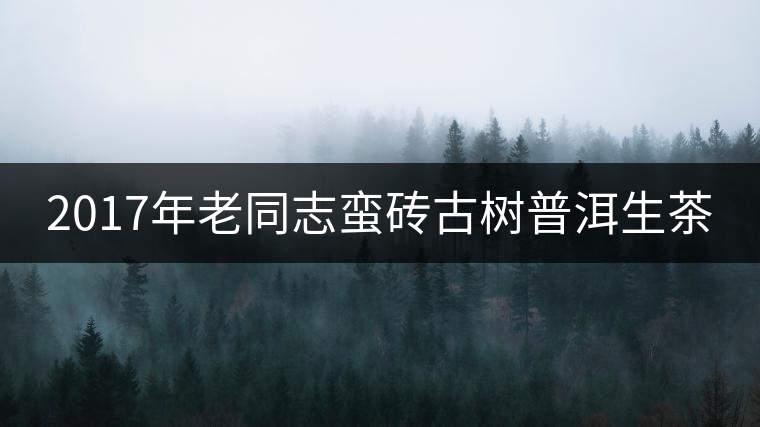 2017年老同志蠻磚古樹(shù)普洱生茶