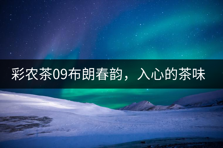 彩農(nóng)茶09布朗春韻，入心的茶味兒