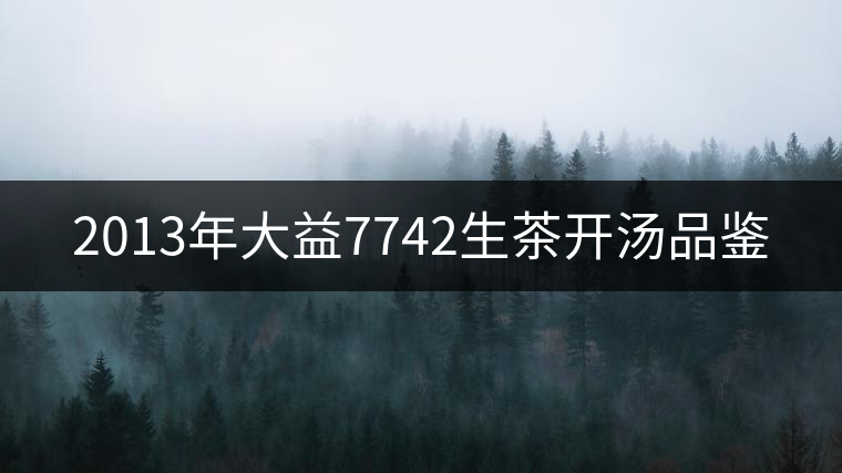 2013年大益7742生茶開湯品鑒