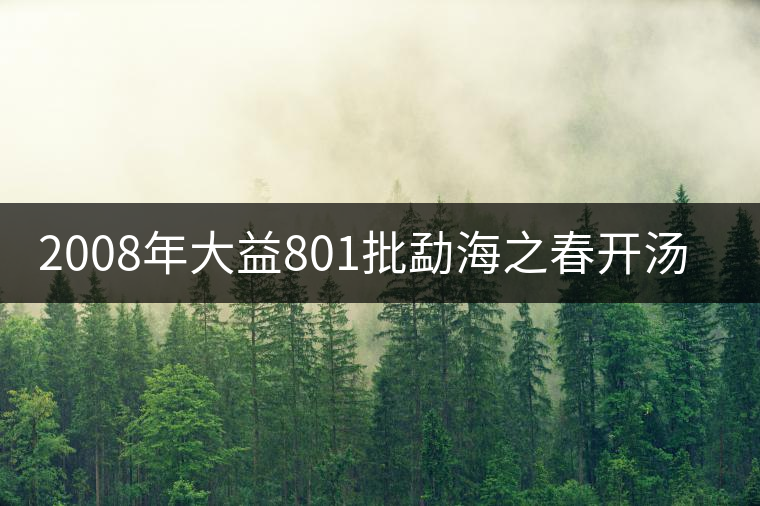 2008年大益801批勐海之春開湯品鑒 2008年大益801批勐海之春開湯品鑒