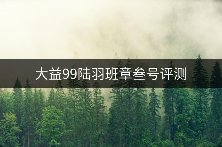 大益99陸羽班章叁號評測