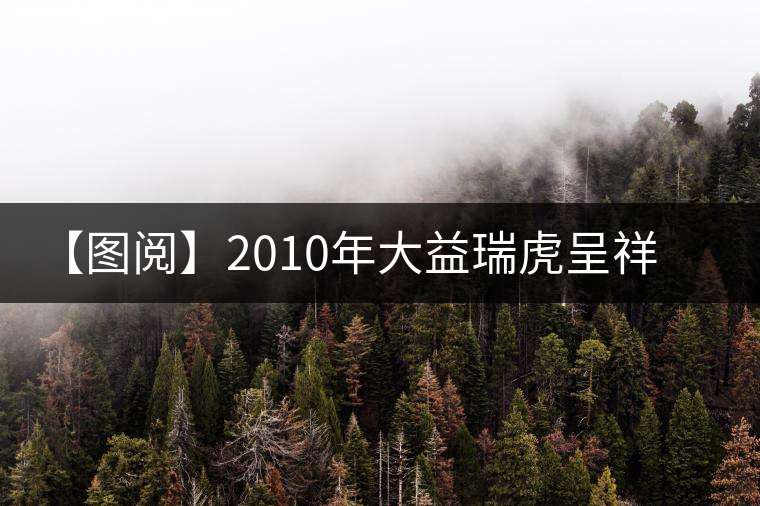 【圖閱】2010年大益瑞虎呈祥開湯品鑒