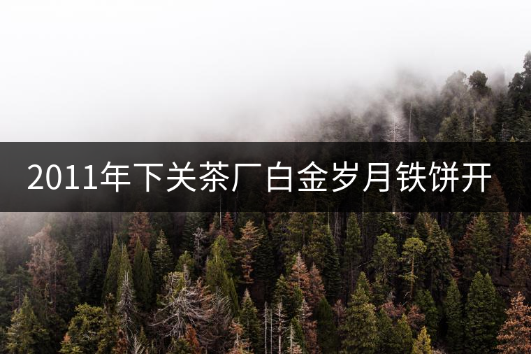 2011年下關(guān)茶廠(chǎng)白金歲月鐵餅開(kāi)湯品鑒