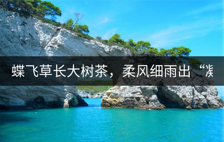 蝶飛草長(zhǎng)大樹(shù)茶，柔風(fēng)細(xì)雨出“凝春”