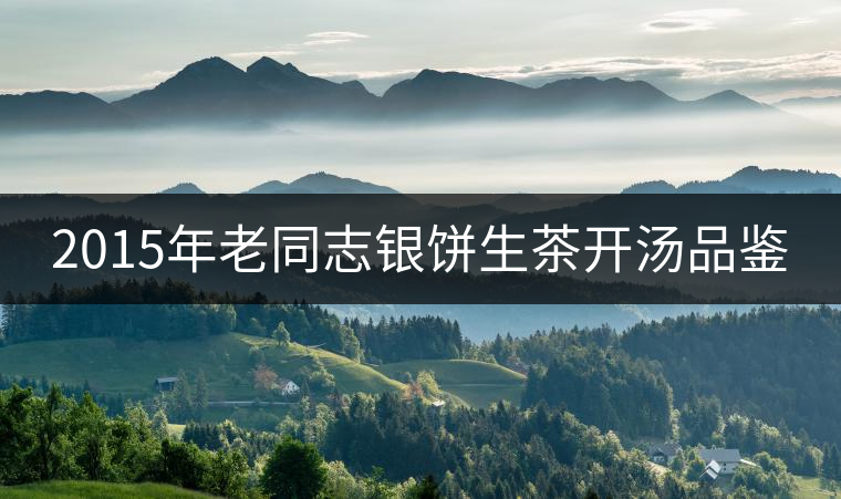 2015年老同志銀餅生茶開(kāi)湯品鑒