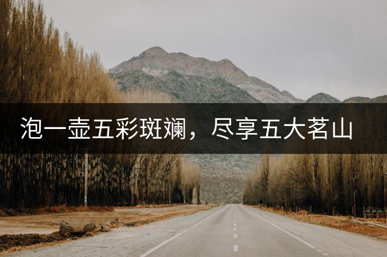 泡一壺五彩斑斕，盡享五大茗山之味